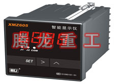 溫度表、數(shù)字顯示儀、濕度表