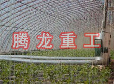 大棚花卉供暖設(shè)備、大棚卉采暖設(shè)備、大棚花卉取暖設(shè)備