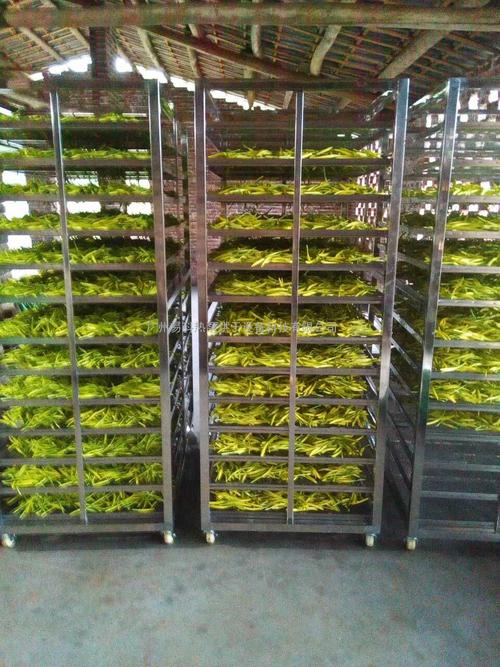 黃花菜烘干機、黃花菜烘干設(shè)備、黃花菜干燥機、黃花菜干燥設(shè)備、